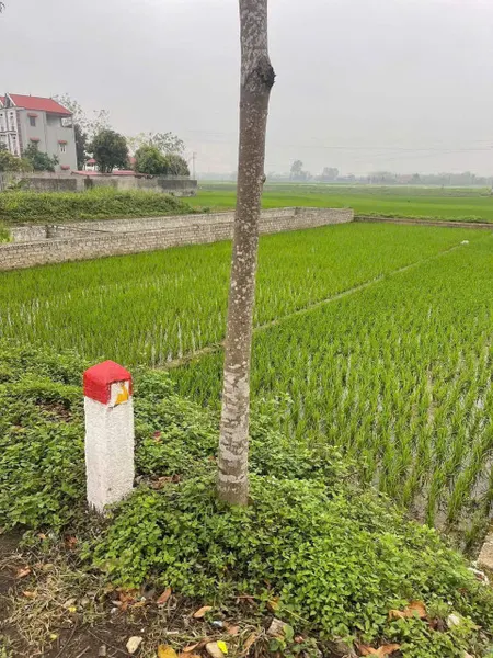 MÌNH CẦN BÁN LÔ ĐẤT ĐẸP Ở THỊ TRẤN THẮNG-H.HIỆP HÒA-BẮC GIANG