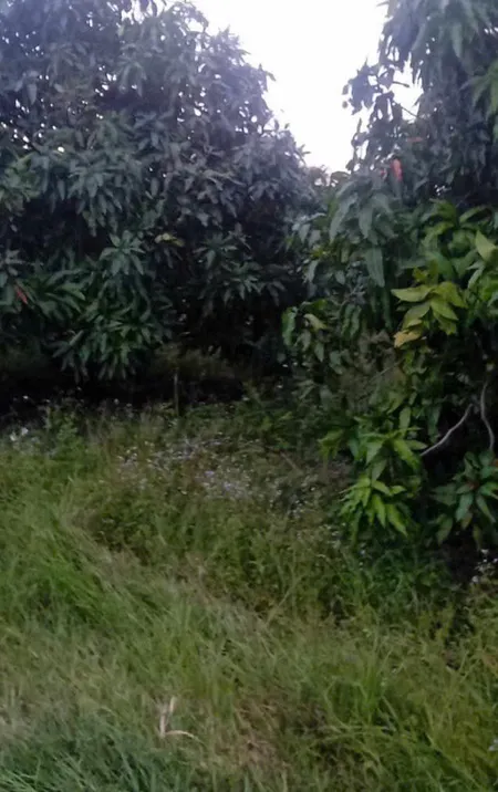BÁN LÔ ĐẤT CLN  - ĐẦU TƯ SINH LỜI - VỊ Trí Đắc Địa Tại: Xã Phú Lý - Huyện Vĩnh Cửu - Tỉnh Đồng Nai