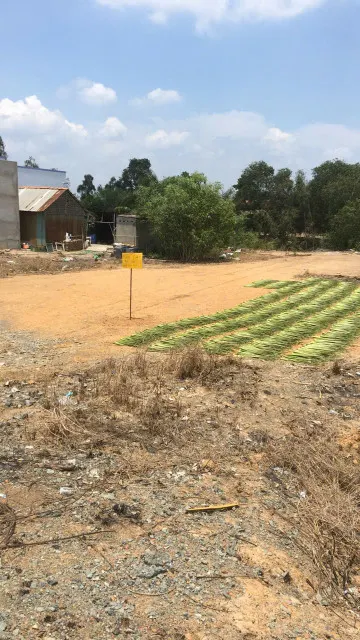 BÁN ĐẤU GIÁ TS ĐẤT NỀN LONG AN