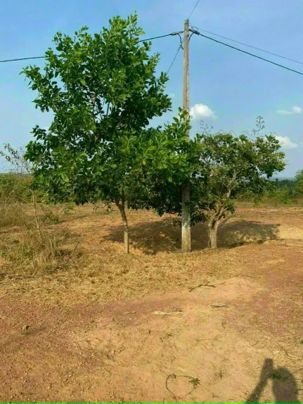 Bán đất 13980.1m² 2.6 tỷ tại Xã Ea Nuôl Huyện Buôn Đôn