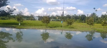 Bán đất 3240m² ngang 21.5m giá 12 tỷ tại Xã Hòa Thắng Thành phố Buôn Ma Thuột