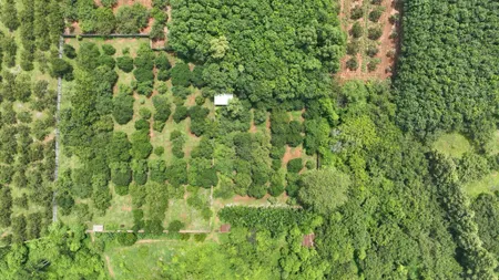 Bán đất 44057.5m² 190 tỷ tại Phường Hắc Dịch Thị xã Phú Mỹ,BRVT