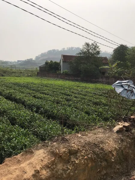 Em bán mảnh đất tọa lạc tại xã Thành Công, Phổ Yên Thái Nguyên Lh 0963396283