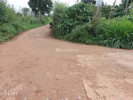 Bán bán  đất thổ cư 340m² , giá 650 triệu tại, Xã Bình Thuận, Thị xã Thị Xã Buôn Hồ, Đắk Lắk