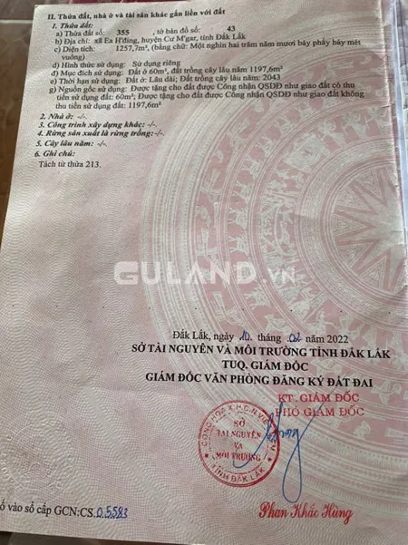 HẠ 200 BÁN 22*50 TẠI EAHDING GIÁ 550 TRIỆU =  25/1m