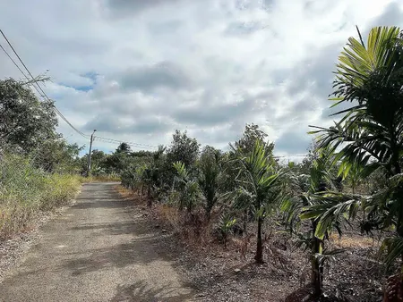 Bán đất 800m² 599 triệu tại Xã Ea Na Huyện Krông A Na