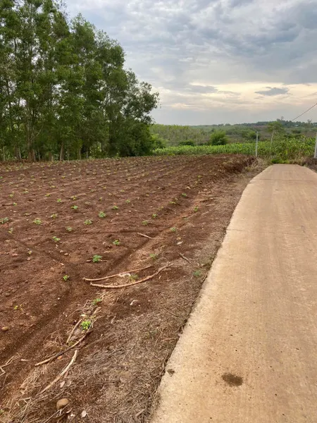 CHÍNH CHỦ CẦN BÁN  2 LÔ ĐẤT CÓ VỊ TRÍ ĐẸP GẦN SÂN BAY LONG THÀNH TẠI XÃ CẨM ĐƯỜNG - H. LONG THÀNH - ĐỒNG NAI.