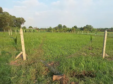 Bán gấp lô đất thổ cư mặt tiền quốc lộ, thuận tiện kinh doanh