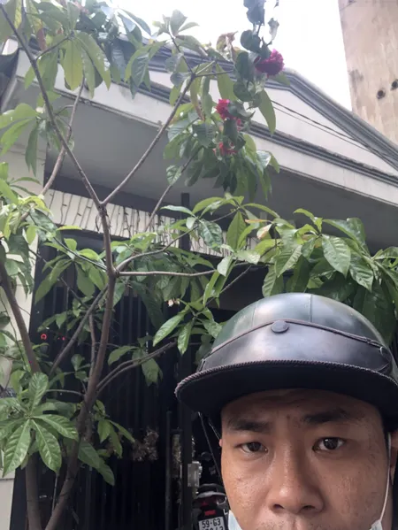 Quá rẻ nhà Q12 hơn 80m2 chỉ 3,9Tỷ  bán Gấp!!!
