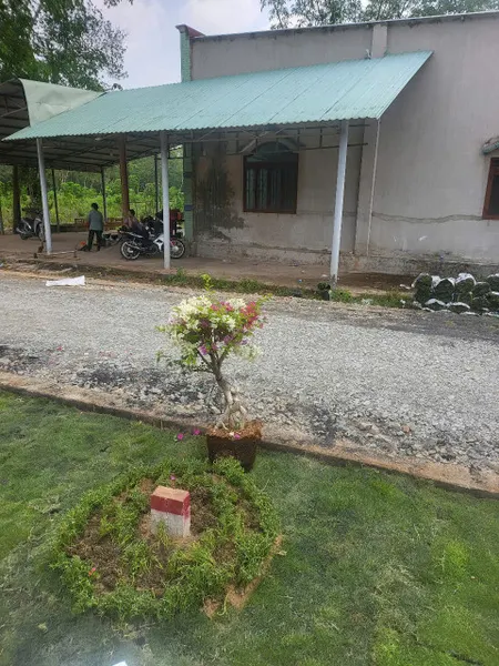 🚨 CƠ HỘI ĐẦU TƯ SIÊU HOT – ĐẤT GẦN ĐƯỜNG HCM, BÀU BÀNG 🚨