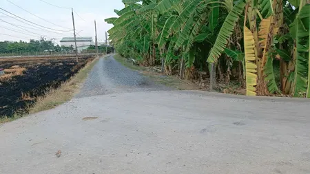 Cách chợ Binh lãng TL833 vào 1km , 5x26.5 giá 490tr Tân Trụ Long An