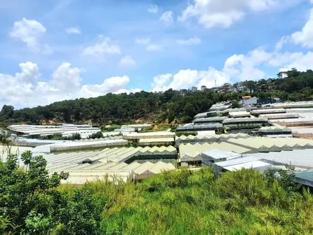 Bán đất view đẹp đồi thông gần khu biệt thự trung tâm Đà Lạt, đi chợ đêm chỉ 3km