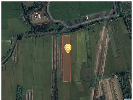 Bán đất 4100m² 4.5 tỷ tại Phường Thới An Đông Quận Bình Thuỷ