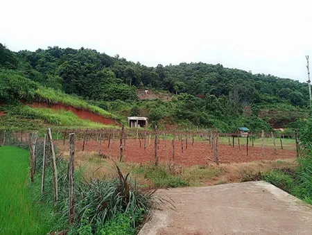 Bán 5.445m² Đất Mộc Châu, Mặt Tiền 200m, Gần Thác Dải Yếm, view đẹp giá tốt