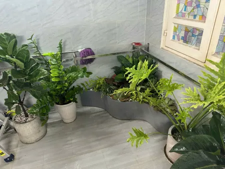 Bán nhà mặt đường Hoa Sữa (P.7, Phú Nhuận, HCM) 64m, 4 tầng, mt 4m, giá 22 tỉ