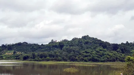 500 ha đất thuê còn 30 năm kề Tỉnh lộ 690, giáp đập Thủy lợi - Huyện Krông Ana - Đăk Lăk, giá chỉ 25 tỷ