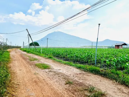 Bán đất Suối Đá - Dương Minh Châu Tây Ninh, mặt tiền khủng 25m x 42 siêu đẹp