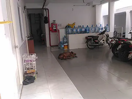 CHO THUÊ PHÒNG GIÁ RẺ CÓ HỆ THỐNG PCCC AN TOÀN TRUNG TÂM PHƯỜNG 3, QUẬN TÂN BÌNH