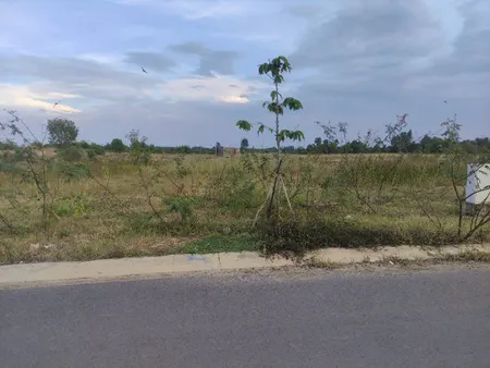 Bán đất mặt tiền Lý Thường Kiệt Thị xã Kiến Tường