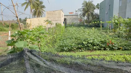 “Ngộp ná thở” giảm hẳn 1 tỷ mặt tiền đường 155 nằm cạnh Hóc Môn, DT 550m2 (100m thổ cư), xã Bình Mỹ