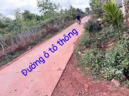 Bán đất 1217.9m² 650 triệu tại Xã Bình Thuận Thị xã Thị Xã Buôn Hồ