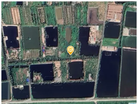 Bán nhà tại Xã Đông Hưng Huyện Tiên Lãng
