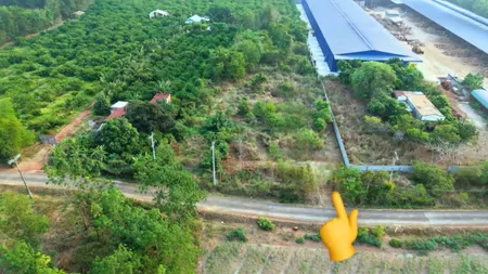 Bán đất 293.3m² 350 triệu tại Xã Tân Hưng Huyện Đồng Phú