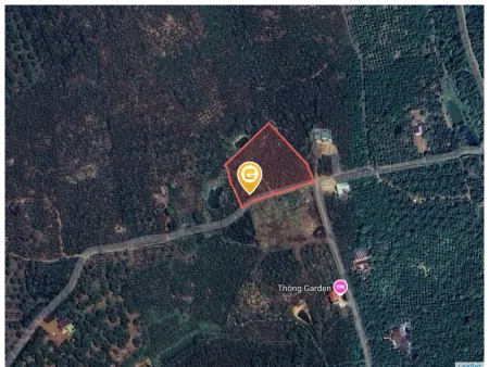 Bán đất 1000m² 500 triệu tại Xã Đinh Trang Hòa Huyện Di Linh