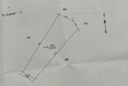 Bán đất 2123.4m² tại Xã Bình Phan Huyện Chợ Gạo