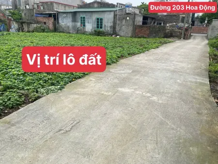 Bán đất 93m² giá 2.28 tỷ tại Lâm Động Thuỷ Nguyên. liên hệ 0362558882