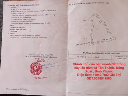 Chính chủ cần bán mảnh đất trồng cây lâu năm xã Tân Thành, Đồng Xoài , Bình Phước