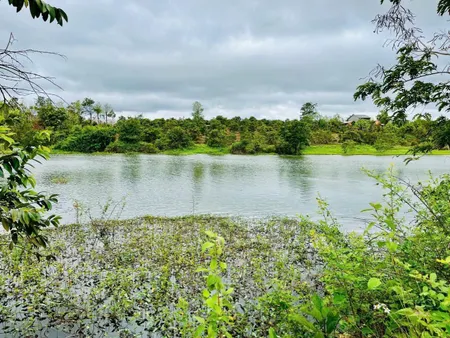 Bán đất 5000m² 1.1 tỷ tại Xã Ea Hu Huyện Cư Kuin