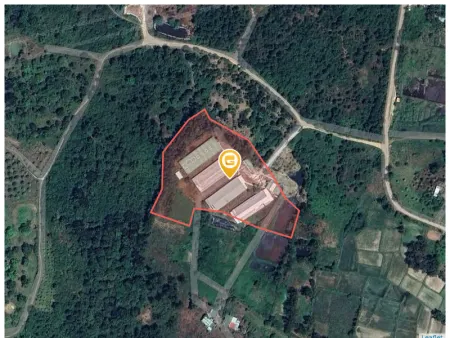 Bán đất 11138.5m² 10 tỷ tại Xã Diên Sơn Huyện Diên Khánh