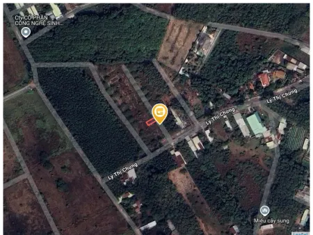 (S618) Đất đẹp 1/ Lý Thị Chừng, xã Phú Hòa Đông, dt 800m2, full thổ, đất ở hiện hữu, đã trừ LG, giá 1 tỷ 150