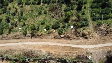 670m2 full hồng - 349 triệu