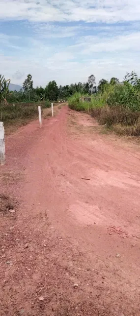 LÔ ĐẤT GIÁ RẺ – THÔN AN LỘC, HOÀI THANH, HOÀI NHƠN SỔ SẴN – DIỆN TÍCH LỚN – CHỈ 700 TRIỆU
