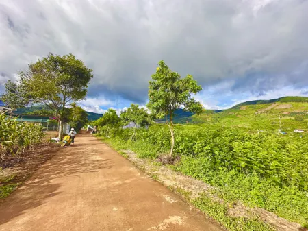 🌱 Đất thị trấn Nam Ban, view thung lũng ngàn thông, nghỉ dưỡng 🌲🌲🌲
