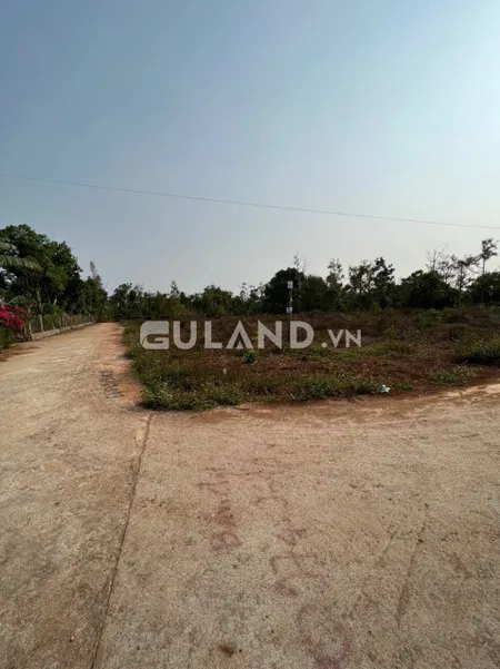 Bán đất 236m² ngang 10m giá 1.15 tỷ tại Xã Hòa Đông Huyện Krông Pắc