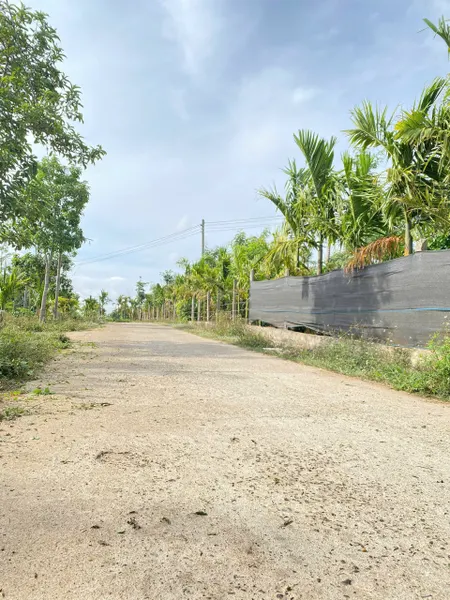 Ea BHốk- Cư Kuin- Đắk Lắk dt 6000m2 thực tế 8000m2 sẵn thổ cư 400m2 đường bê tông, 2 ao cá, nhà cấp 4