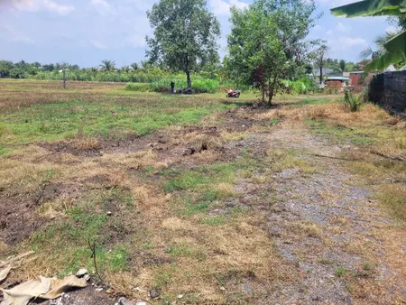 Đất mẫu ngay chợ mõ công