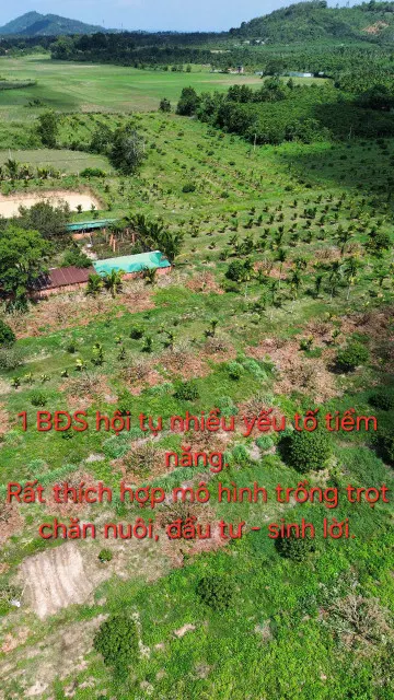 BÁN NHANH 6,5HA ĐẤT VƯỜN ĐẸP – SỔ SẴN – GIÁ CHỈ 135TR/1.000M²