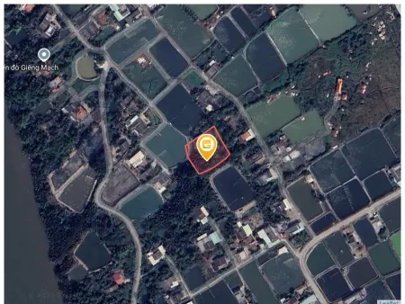 Bán đất 1628.8m² 5 tỷ tại Xã Nhựt Ninh Huyện Tân Trụ