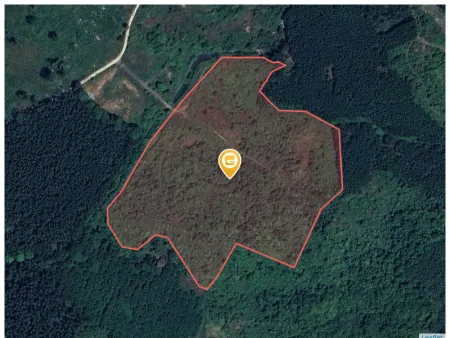 Bán đất 57000m² 8 tỷ tại Xã Khánh Đông Huyện Khánh Vĩnh