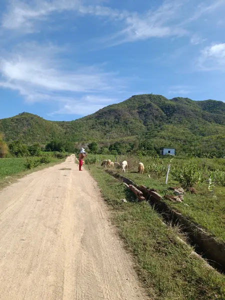 Đất HNK DT: 3381m². Phú Thuận. Mỹ Sơn. Ninh Sơn. Ninh Thuận