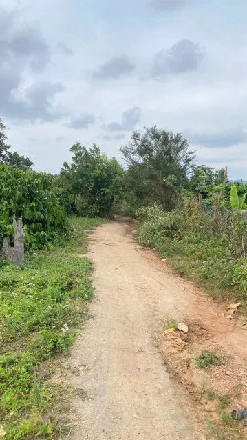 Bán đất 11000m² 1.05 tỷ tại Xã Ea Sol Huyện Ea H'leo