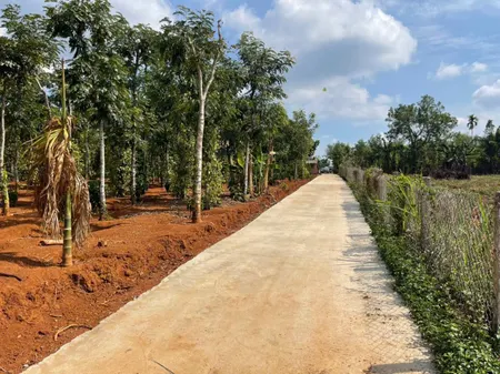 Bán đất 302.5m² 699 triệu tại Xã Ea Na Huyện Krông A Na