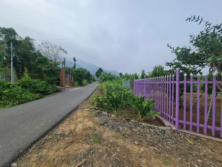 Bán đất MT đường Suối Đá Xã Xuân Trường Huyện Xuân Lộc