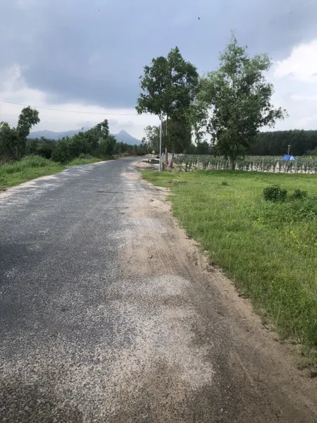 700K/m2 7.5 hecta mặt tiền Cù Chính Lan - Tân Bình - LaGi sổ hồng riêng