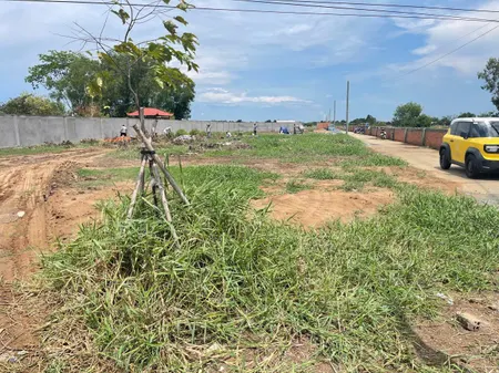 🏡 BÁN ĐẤT MT QL 50 – GÒ CÔNG, TIỀN GIANG, GIÁ 500TR, DT 100M2, SHR