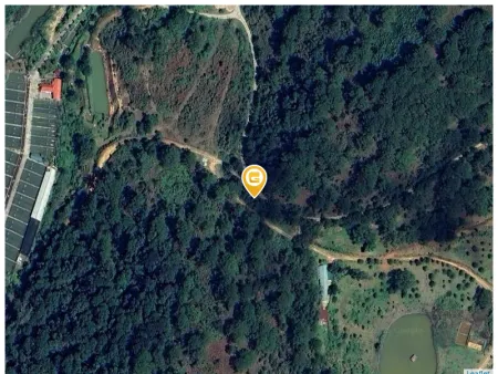 Bán đất 30.000m² 30 tỷ tại Xã Lát Huyện Lạc Dương